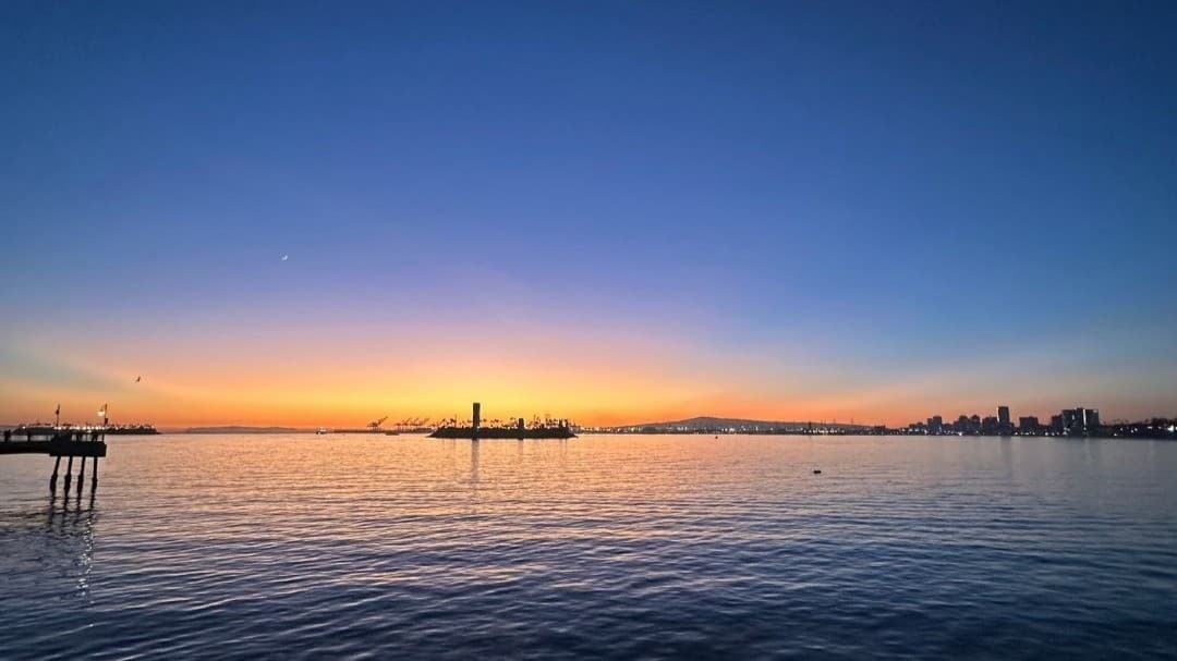 Şu Anda Yaşıyor Musunuz Yoksa Sadece Hayatta mı Kalıyorsunuz?