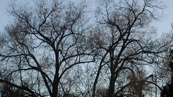 Bütünlük Bir Kişisel Gelişim Meselesi Değil, Kolektif Bir Kurtuluş Mekanizmasıdır.